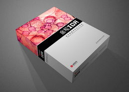 尚丞設計案例分享 金和管理軟件包裝設計的創新之路