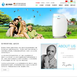 北京鵬飛網(wǎng)絡(luò)工作室 打造卓越品牌形象的網(wǎng)站建設(shè)與設(shè)計(jì)成功案例