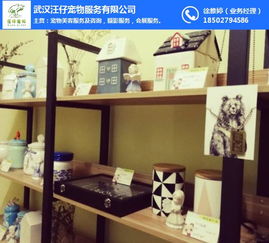 武漢汪仔寵物服務(wù)公司 專業(yè)寵物善終服務(wù)與潛江寵物火化價(jià)格解析
